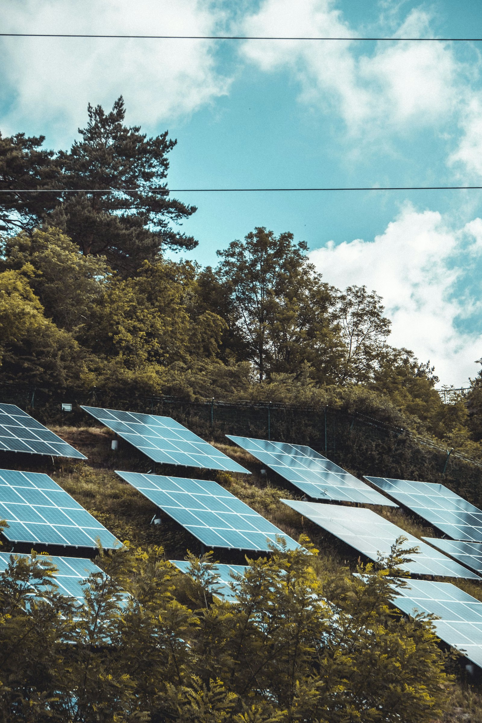 Solar modules installed across an open agricultural field
